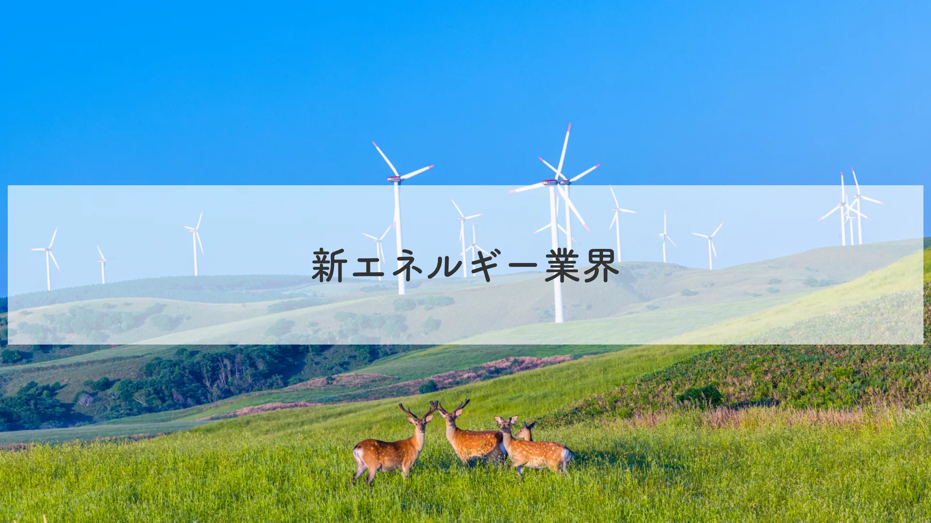 新エネルギー業界